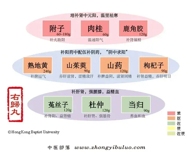 右归丸 - 图片1