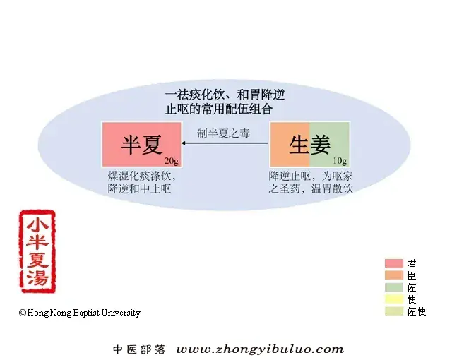 小半夏汤 - 图片1