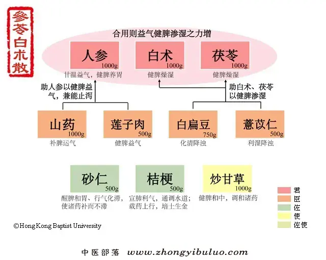 参苓白术散 - 图片1